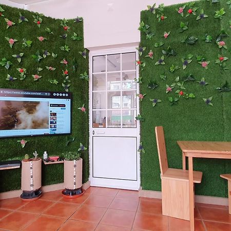 Bruma Hostel Понта-Делгада Экстерьер фото